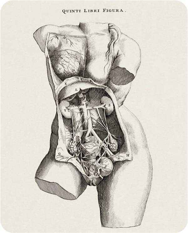 miomas